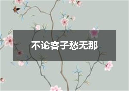 不论客子愁无那