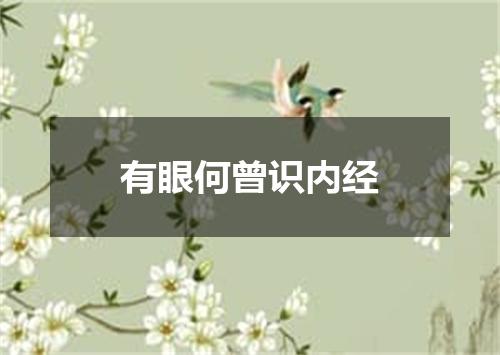 有眼何曾识内经