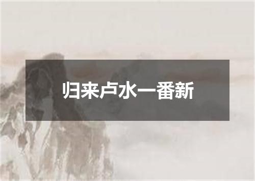归来卢水一番新