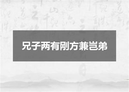 兄子两有刚方兼岂弟