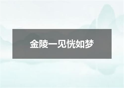 金陵一见恍如梦