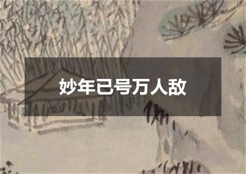 妙年已号万人敌