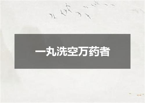 一丸洗空万药者