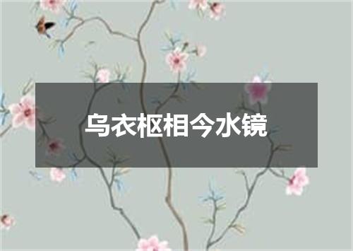 乌衣枢相今水镜