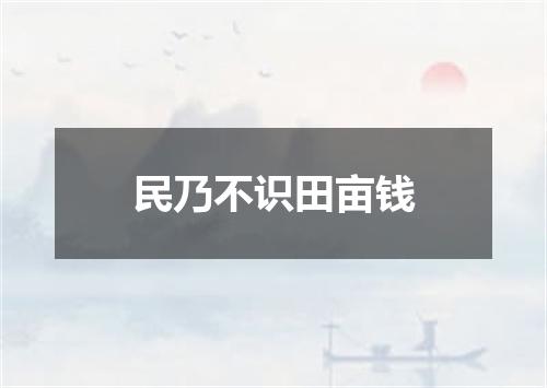 民乃不识田亩钱