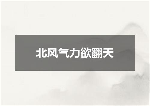 北风气力欲翻天