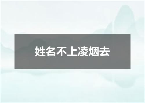 姓名不上凌烟去