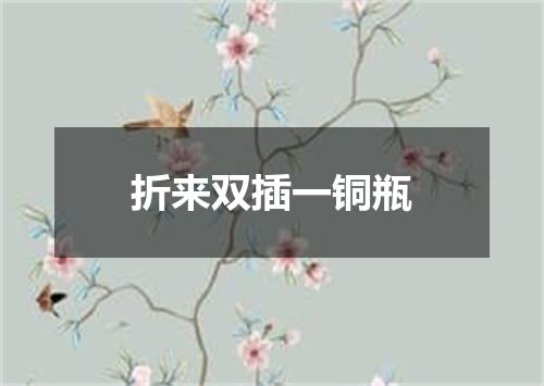 折来双插一铜瓶