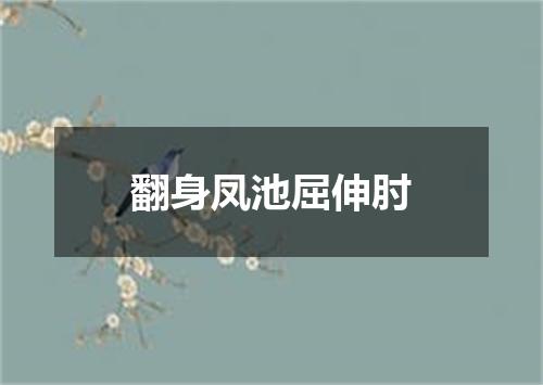 翻身凤池屈伸肘