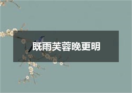 既雨芙蓉晚更明