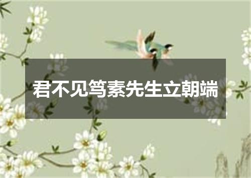 君不见笃素先生立朝端