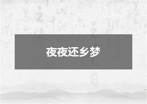 夜夜还乡梦