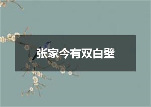 张家今有双白璧