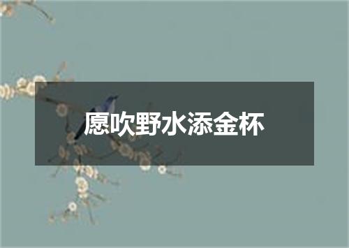 愿吹野水添金杯
