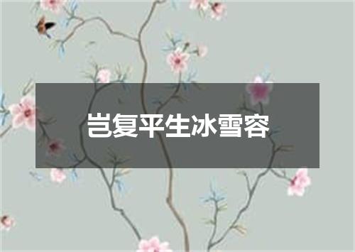 岂复平生冰雪容