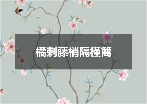 橘剌藤梢隔槿篱