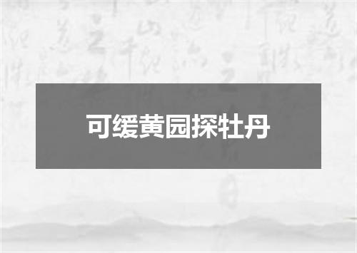 可缓黄园探牡丹