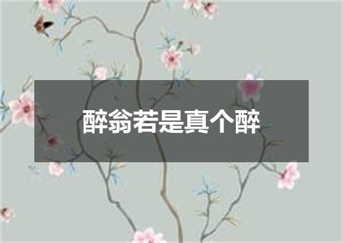 醉翁若是真个醉