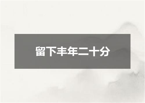留下丰年二十分