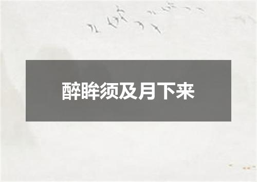 醉眸须及月下来