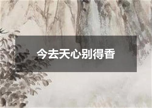 今去天心别得香