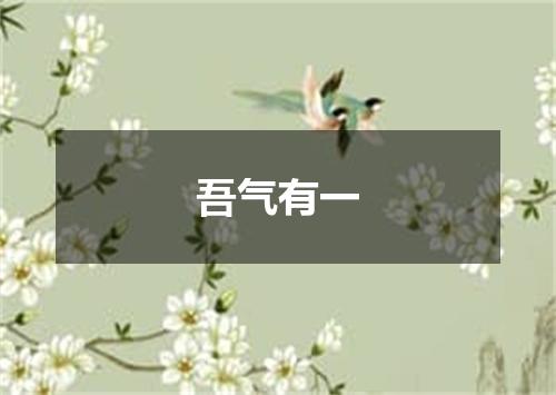 吾气有一