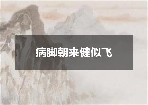 病脚朝来健似飞