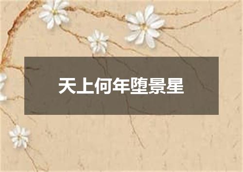 天上何年堕景星