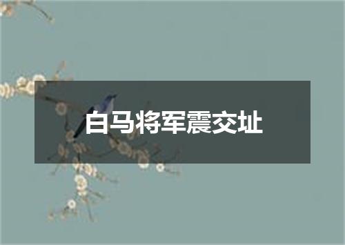 白马将军震交址