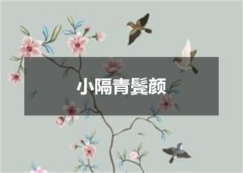 小隔青鬓颜