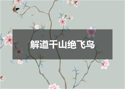 解道千山绝飞鸟