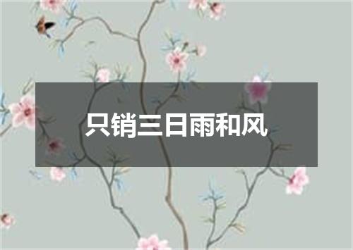 只销三日雨和风