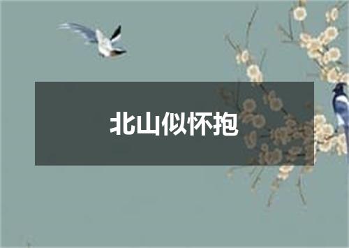 北山似怀抱