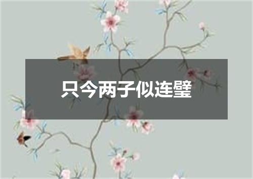 只今两子似连璧