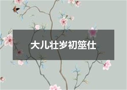 大儿壮岁初筮仕