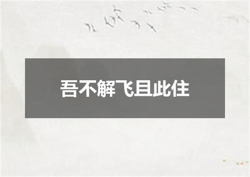 吾不解飞且此住