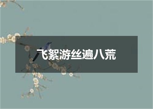 飞絮游丝遍八荒