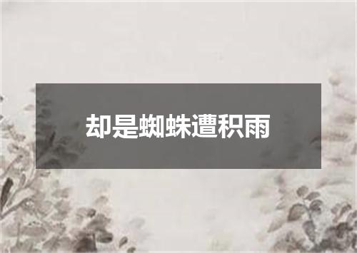 却是蜘蛛遭积雨