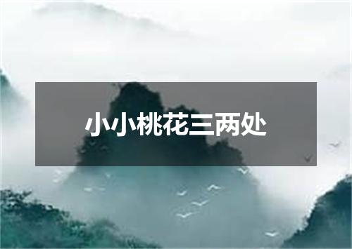 小小桃花三两处
