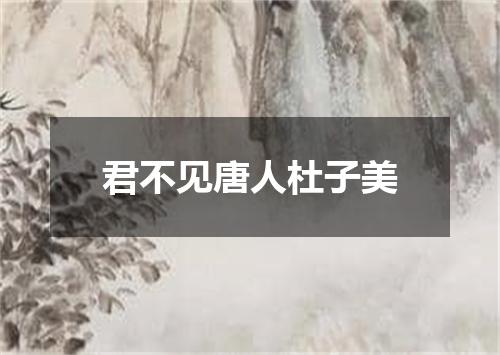 君不见唐人杜子美