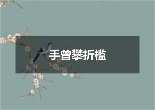 手曾攀折槛