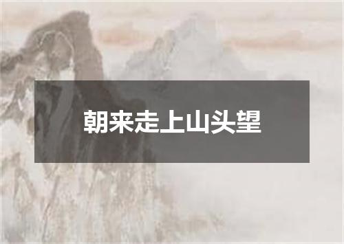 朝来走上山头望