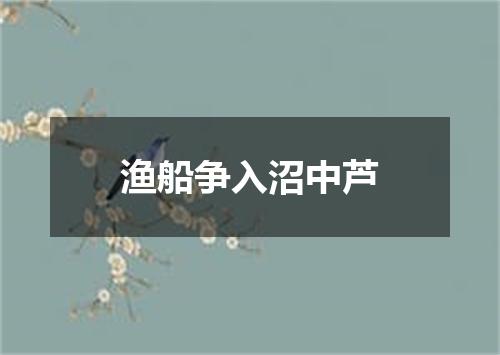 渔船争入沼中芦