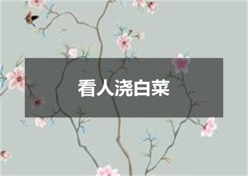 看人浇白菜