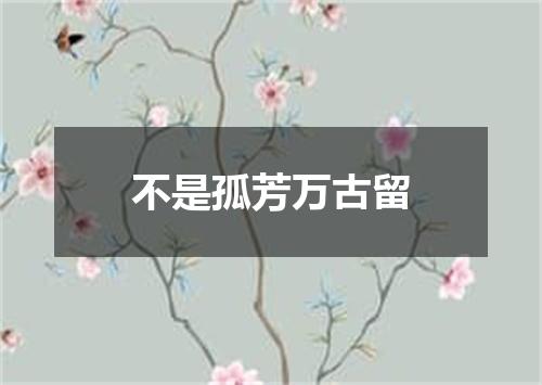 不是孤芳万古留