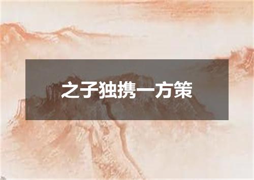 之子独携一方策