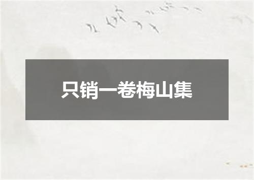 只销一卷梅山集