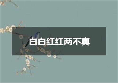 白白红红两不真