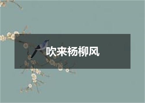 吹来杨柳风