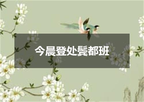 今晨登处鬓都班